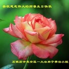 ֹ,ʯׯ󷨵ӹ編ִʦ𻪵(22)