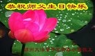 ֹ,ݴ󷨵ӹ編ִʦ𻪵(19)