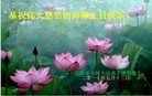 ֹ,󷨵ӹ編ִʦ𻪵(20)