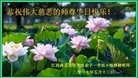 ֹ,󷨵ӹ編ִʦ𻪵(20)