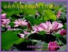 ֹ,󷨵ӹ編ִʦ𻪵(24)