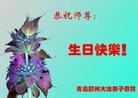 ֹ,ൺ󷨵ӹ編ִʦ𻪵(27)