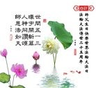 ֹ,󷨵ӹ編ִʦ𻪵(16)