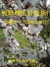ֹ,д󷨵ӹ編ִʦ𻪵(22)
