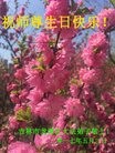 ֹ,д󷨵ӹ編ִʦ𻪵(22)