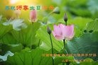 ֹ,ϴ󷨵ӹ編ִʦ𻪵(29)
