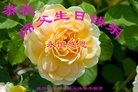 ֹ,ݴ󷨵ӹ編ִʦ𻪵(23)