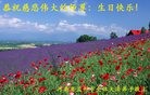 ֹ,ϴ󷨵ӹ編ִʦ𻪵(25)