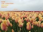 ֹ,Ϻ󷨵ӹ編ִʦ𻪵(25)