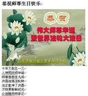 ֹ,ϴ󷨵ӹ編ִʦ𻪵(24)