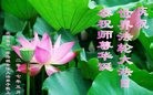ֹ,󷨵ӹ編ִʦ𻪵(21)