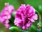 ֹ,󷨵ӹ編ִʦ𻪵(21)