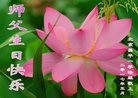 ֹ,󷨵ӹ編ִʦ𻪵(18)