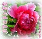 ֹ,󷨵ӹ編ִʦ𻪵(18)