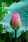 ֹ,󷨵ӹ編ִʦ𻪵(18)