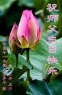 ֹ,󷨵ӹ編ִʦ𻪵(18)