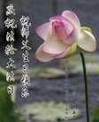 ֹ,󷨵ӹ編ִʦ𻪵(24)