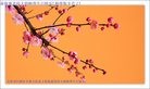 ֹ,󷨵ӹ編ִʦ𻪵(20)