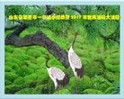 ֹ,ൺ󷨵ӹ編ִʦ𻪵(22)