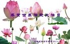 ֹ,Ϻ󷨵ӹ編ִʦ𻪵(21)