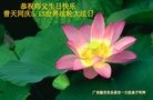 ֹ,㶫󷨵ӹ編ִʦ𻪵(23)