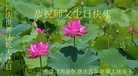 ֹ,󷨵ӹ編ִʦ𻪵(23)