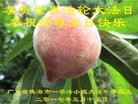 ֹ,㶫󷨵ӹ編ִʦ𻪵(23)