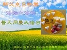 ֹ,Ϋ󷨵ӹ編ִʦ𻪵(24)