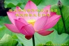 ֹ,д󷨵ӹ編ִʦ𻪵(27)