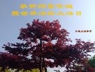 ֹ,󷨵ӹ編ִʦ𻪵(20)
