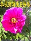 ֹ,󷨵ӹ編ִʦ𻪵(20)