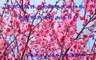 ֹ,󷨵ӹ編ִʦ𻪵(20)