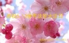 ֹ,󷨵ӹ編ִʦ𻪵(25)