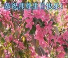ֹ,󷨵ӹ編ִʦ𻪵(26)
