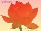 ֹ,ϴ󷨵ӹ編ִʦ𻪵(22)