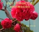 ֹ,ɽ󷨵ӹ編ִʦ𻪵(21)