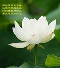 ֹ,󷨵ӹ編ִʦ𻪵(23)