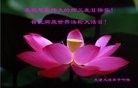 ֹ,󷨵ӹ編ִʦ𻪵(23)