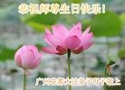 ֹ,ݴ󷨵ӹ編ִʦ𻪵(22)