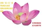 ֹ,󷨵ӹ編ִʦ𻪵(23)