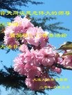 ֹ,󷨵ӹ編ִʦ𻪵(23)