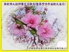 ֹ,󷨵ӹ編ִʦ𻪵(23)
