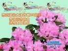 ֹ,󷨵ӹ編ִʦ𻪵(26)