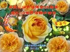 ֹ,󷨵ӹ編ִʦ𻪵(26)