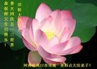 ֹ,ϴ󷨵ӹ編ִʦ𻪵(24)