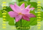 ֹ,󷨵ӹ編ִʦ𻪵(23)