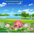 ֹ,ػʵ󷨵ӹ編ִʦ𻪵(22)