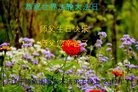 ֹ,󷨵ӹ編ִʦ𻪵(18)