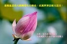 ֹ,󷨵ӹ編ִʦ𻪵(23)