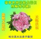 ���ֹ�,�������󷨵��ӹ������編�ִ�����ʦ�𻪵�(20��)